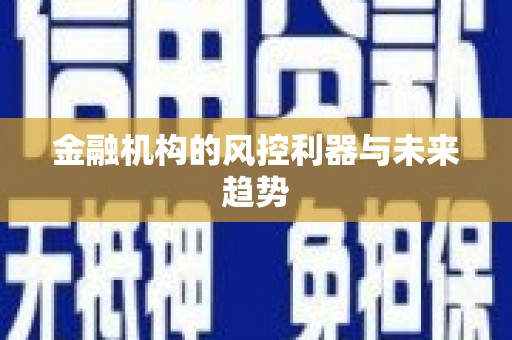 赤坎金融机构的风控利器与未来趋势