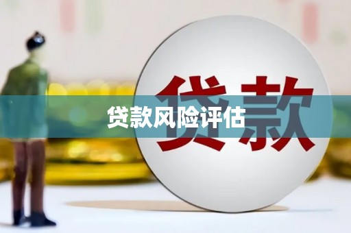 赤坎贷款风险评估