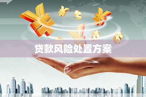 赤坎贷款风险处置方案