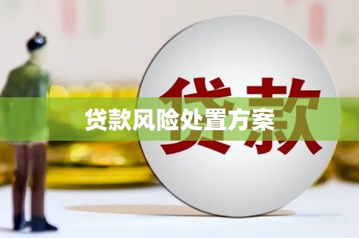 赤坎贷款风险处置方案