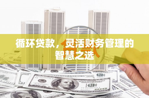 赤坎循环贷款，灵活财务管理的智慧之选