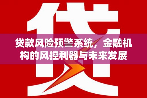 赤坎贷款风险预警系统，金融机构的风控利器与未来发展