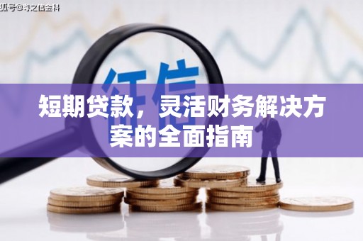 赤坎短期贷款，灵活财务解决方案的全面指南