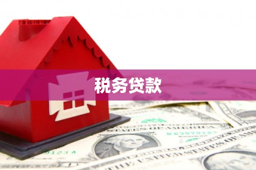 赤坎税务贷款