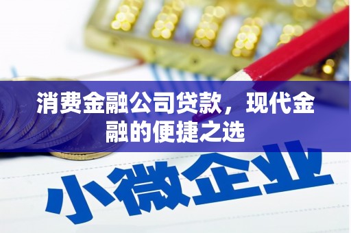 赤坎消费金融公司贷款，现代金融的便捷之选