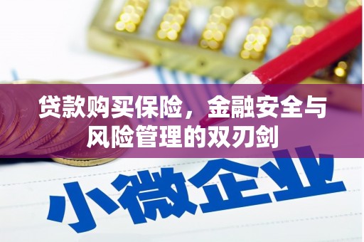赤坎贷款购买保险，金融安全与风险管理的双刃剑