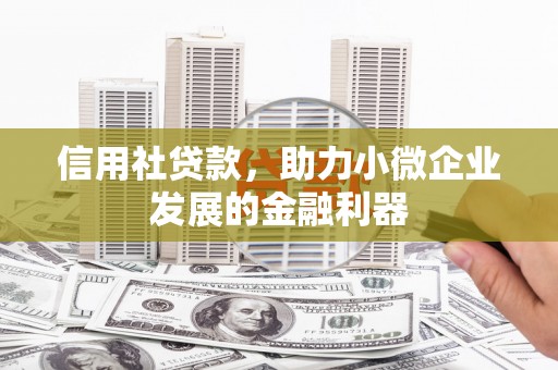 赤坎信用社贷款，助力小微企业发展的金融利器