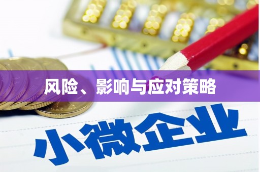 赤坎风险、影响与应对策略