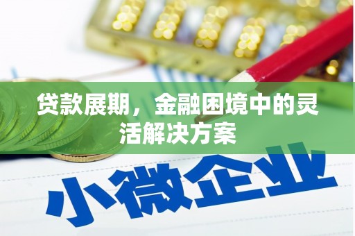 赤坎贷款展期，金融困境中的灵活解决方案