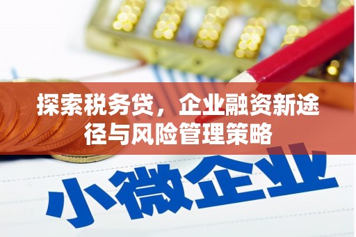 赤坎探索税务贷，企业融资新途径与风险管理策略