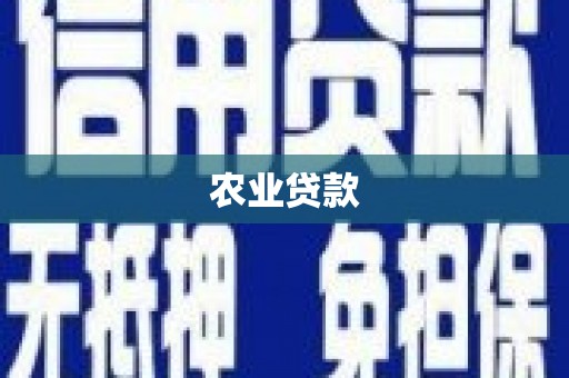 赤坎农业贷款