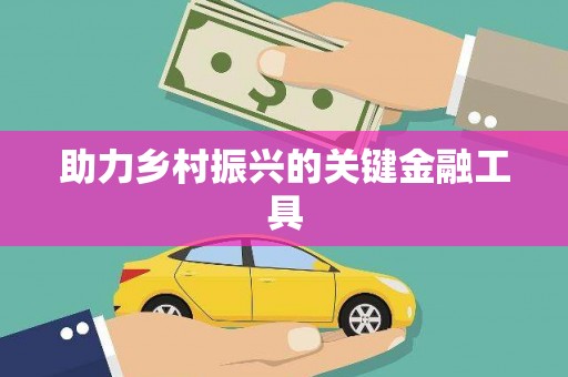 赤坎助力乡村振兴的关键金融工具