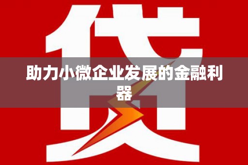 赤坎助力小微企业发展的金融利器