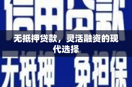 赤坎无抵押贷款，灵活融资的现代选择