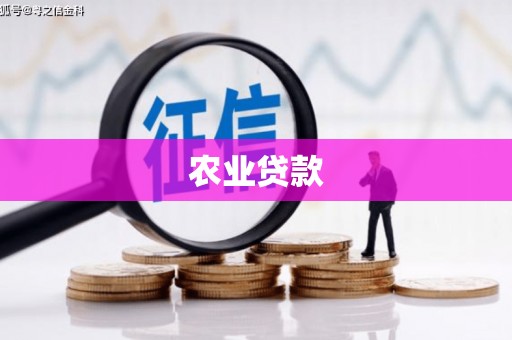 赤坎农业贷款