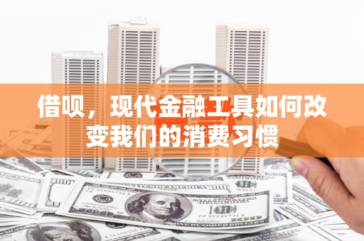 赤坎借呗，现代金融工具如何改变我们的消费习惯