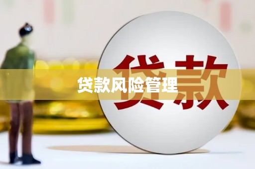赤坎贷款风险管理