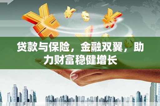 赤坎贷款与保险，金融双翼，助力财富稳健增长