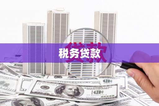 赤坎税务贷款