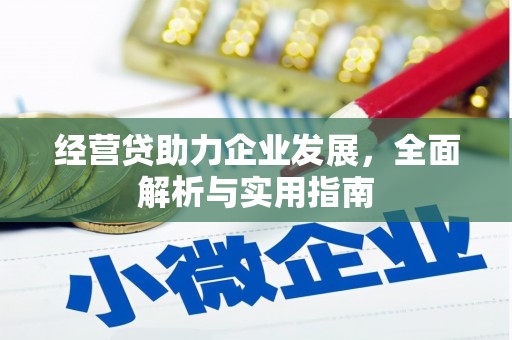 赤坎经营贷助力企业发展，全面解析与实用指南