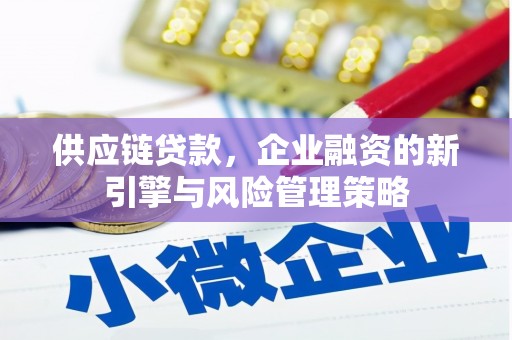 赤坎供应链贷款，企业融资的新引擎与风险管理策略