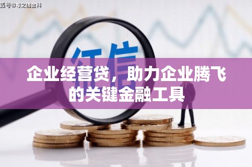 赤坎企业经营贷，助力企业腾飞的关键金融工具