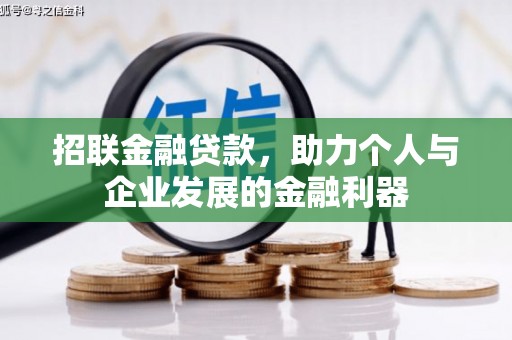 赤坎招联金融贷款，助力个人与企业发展的金融利器