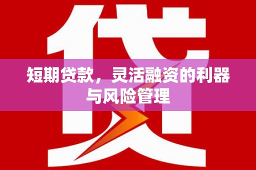 赤坎短期贷款，灵活融资的利器与风险管理