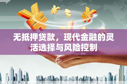 赤坎无抵押贷款，现代金融的灵活选择与风险控制