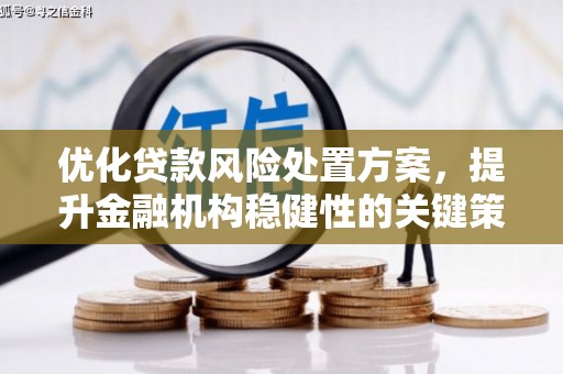 赤坎优化贷款风险处置方案，提升金融机构稳健性的关键策略