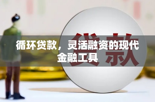 赤坎循环贷款，灵活融资的现代金融工具