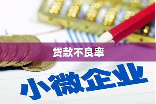 赤坎贷款不良率