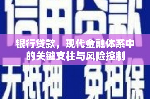 赤坎银行贷款，现代金融体系中的关键支柱与风险控制