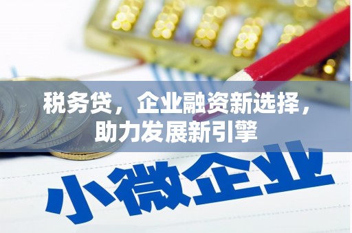 赤坎税务贷，企业融资新选择，助力发展新引擎