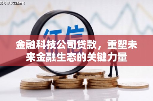 赤坎金融科技公司贷款，重塑未来金融生态的关键力量