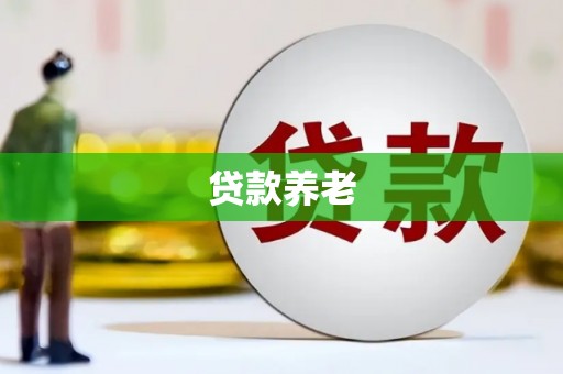 赤坎贷款养老