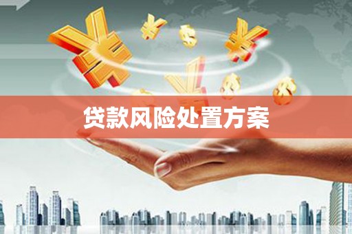 赤坎贷款风险处置方案