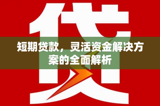 赤坎短期贷款，灵活资金解决方案的全面解析