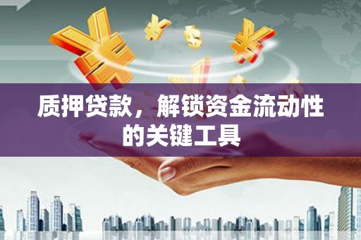 赤坎质押贷款，解锁资金流动性的关键工具