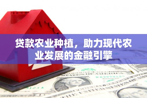 赤坎贷款农业种植，助力现代农业发展的金融引擎