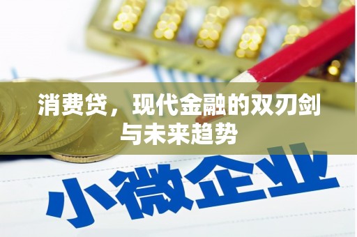 赤坎消费贷，现代金融的双刃剑与未来趋势
