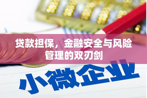 赤坎贷款担保，金融安全与风险管理的双刃剑