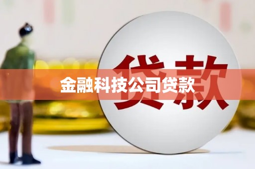 赤坎金融科技公司贷款