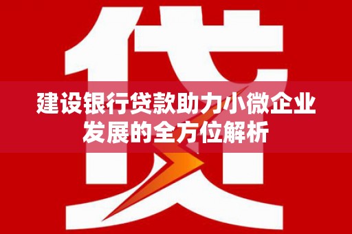 赤坎建设银行贷款助力小微企业发展的全方位解析