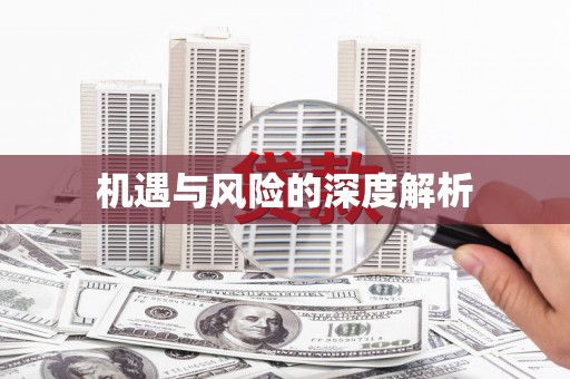 赤坎机遇与风险的深度解析
