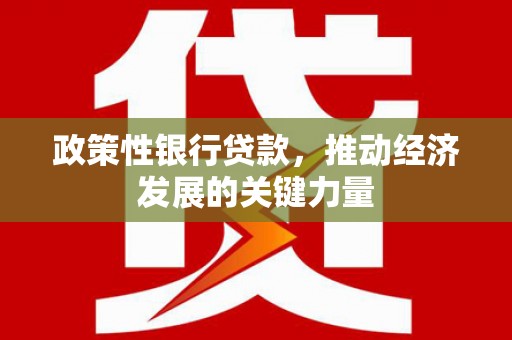 赤坎政策性银行贷款，推动经济发展的关键力量