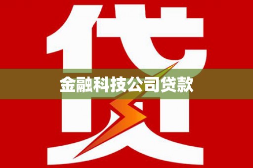 赤坎金融科技公司贷款
