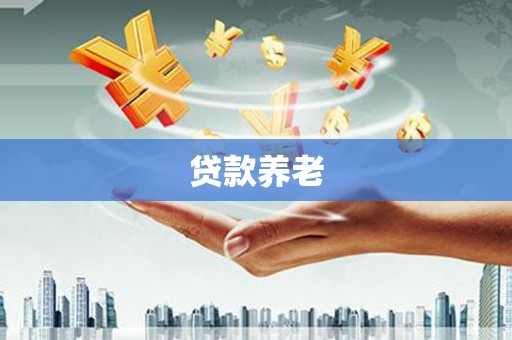 赤坎贷款养老