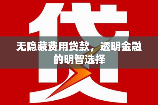赤坎无隐藏费用贷款，透明金融的明智选择