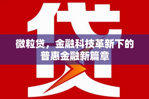赤坎微粒贷，金融科技革新下的普惠金融新篇章